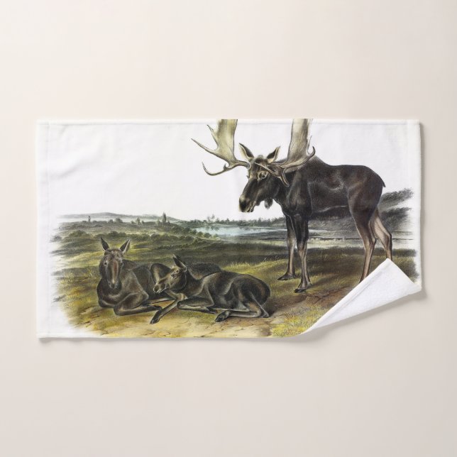Moose Deer (Moose - Alces alces) by Audubon Bath Towel Set (Hand Towel)