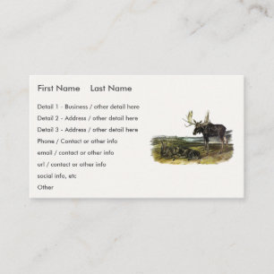 Moose Deer (Moose - Alces alces) by Audubon Business Card