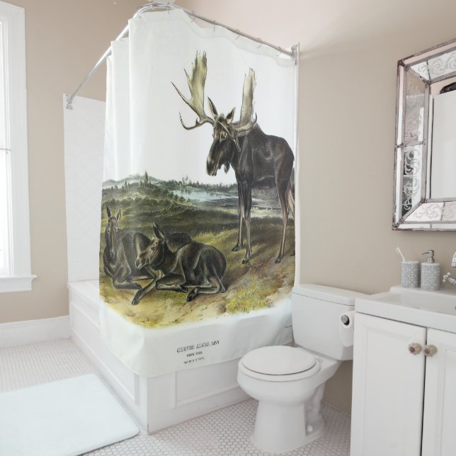 Moose Deer (Moose - Alces alces) by Audubon Shower Curtain (In Situ)