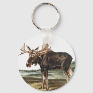 Moose Deer (Servus alces) Illustration Key Ring