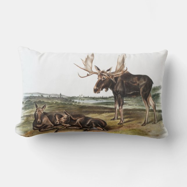 Moose Deer (Servus alces) Illustration Lumbar Cushion (Front)
