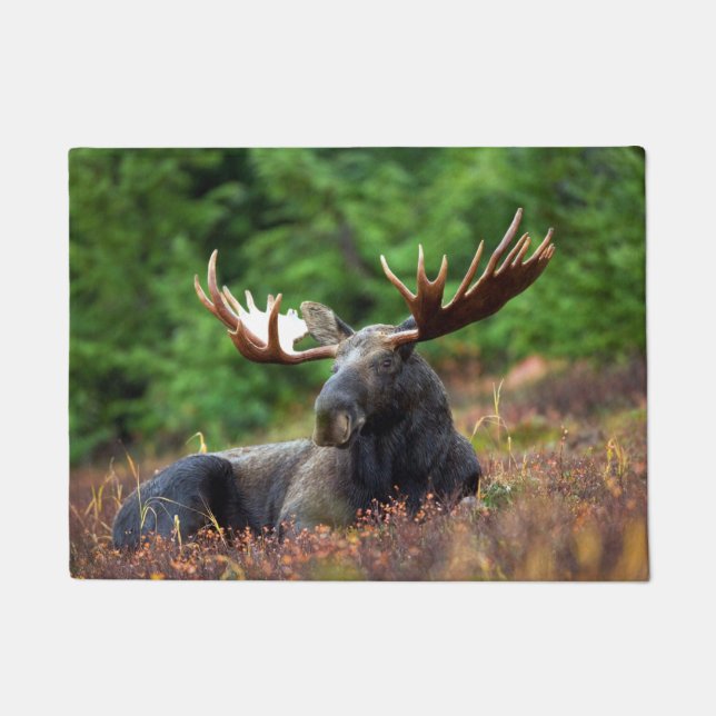 Moose Doormat (Front)