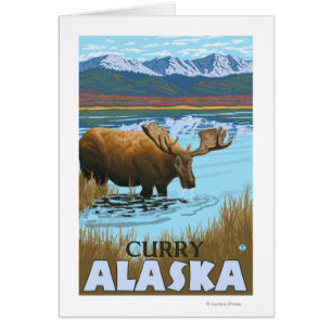 Moose Drinking at Lake - Curry, Alaska