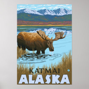 Moose Drinking at Lake - Katmai, Alaska Poster