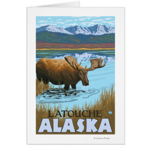 Moose Drinking at Lake - Latouche, Alaska