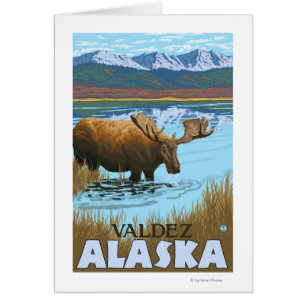 Moose Drinking at Lake - Valdez, Alaska