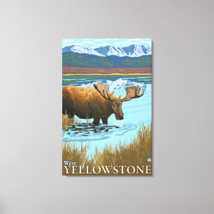 Moose Drinking at Lake - West Yellowstone, MT Canvas Print