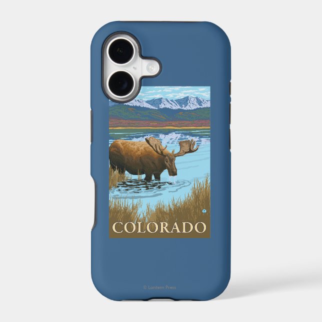 Moose DrinkingColorado (Back)