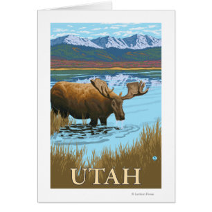 Moose DrinkingUtah