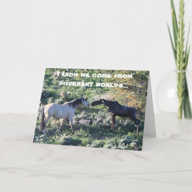 Moose Encounter Greeting Card (Front)