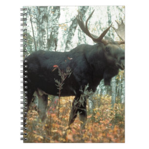 Moose Forest Trees Park Animal Wildlife Art Spiral Notebook
