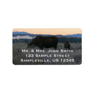 Moose Grazing at Sunrise at Grand Teton Label