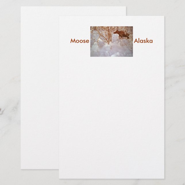 Moose in Alaska Stationery (Front/Back)