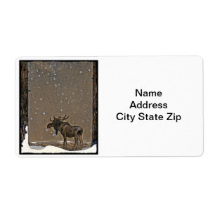 Moose in Snow
