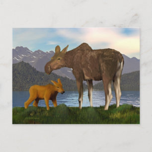 Moose in the Meadow Postcard