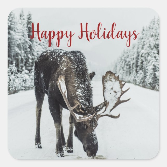 Moose In Winter Snow Christmas Square Sticker (Front)