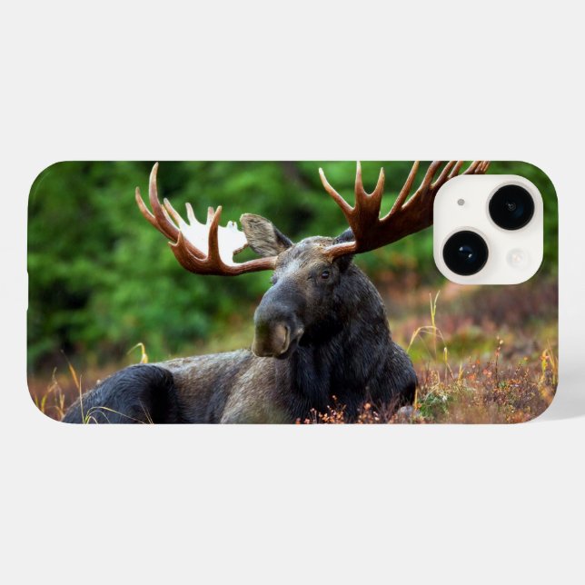 Moose iPhone 14 Case (Back (Horizontal))