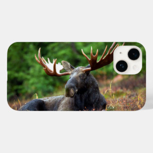 Moose iPhone 14 Case