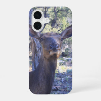 Moose iPhone 16 Case