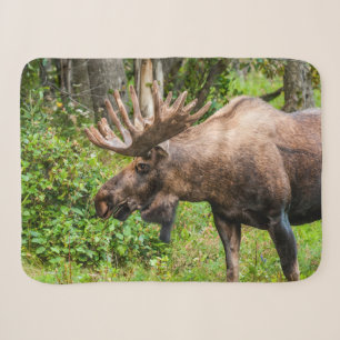 Moose Kenai Peninsula, Alaska Sherpa Blanket