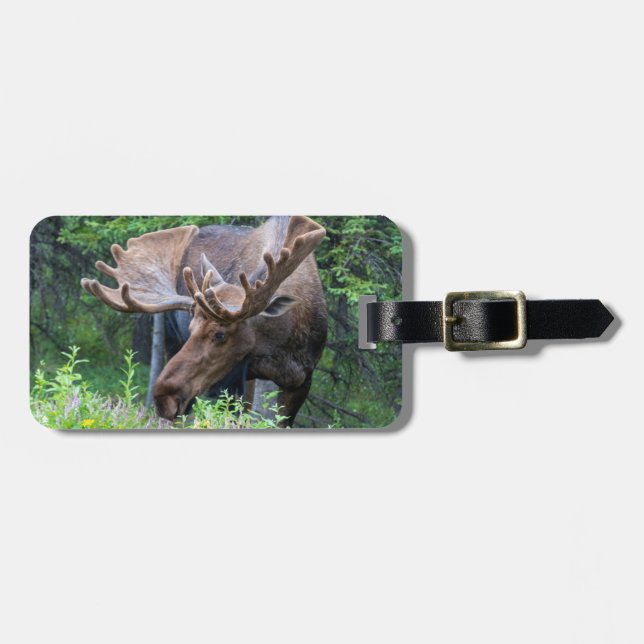 Moose luggage tag (Front Horizontal)