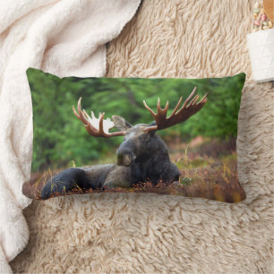 Moose lumbar cushion