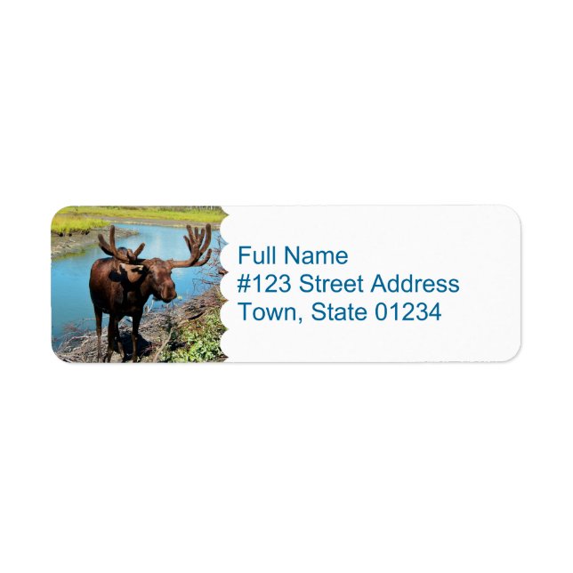 Moose Mailing Label (Front)