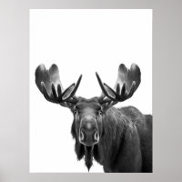 Moose Modern Portrait black white  
