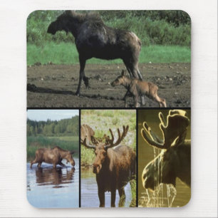 Moose Mouse Pad