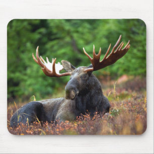 Moose Mouse Pad