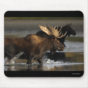 Moose Mouse Pad