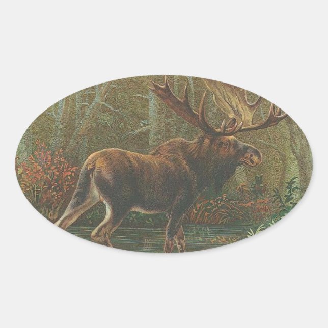 Moose Oval Sticker (Front)
