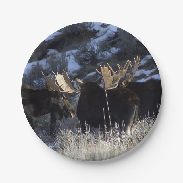 Moose pack paper plate (Front)