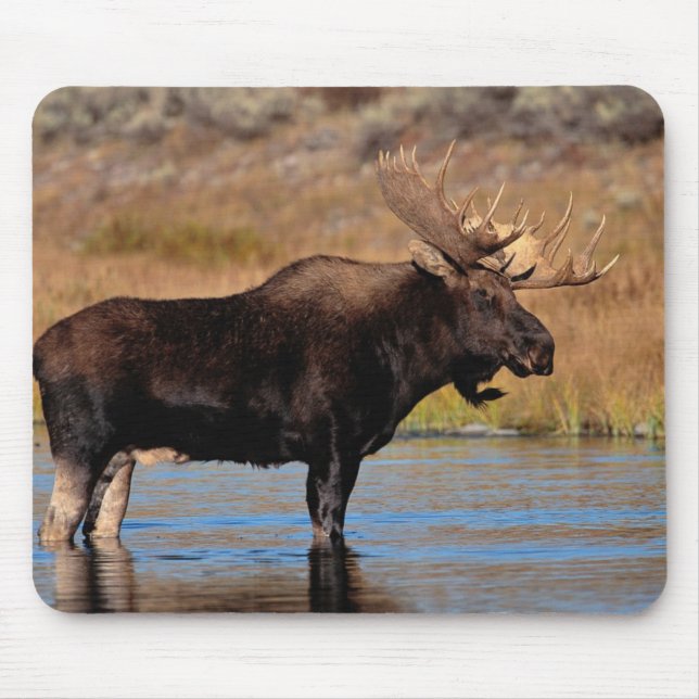Moose Pad Mouse Pad (Front)