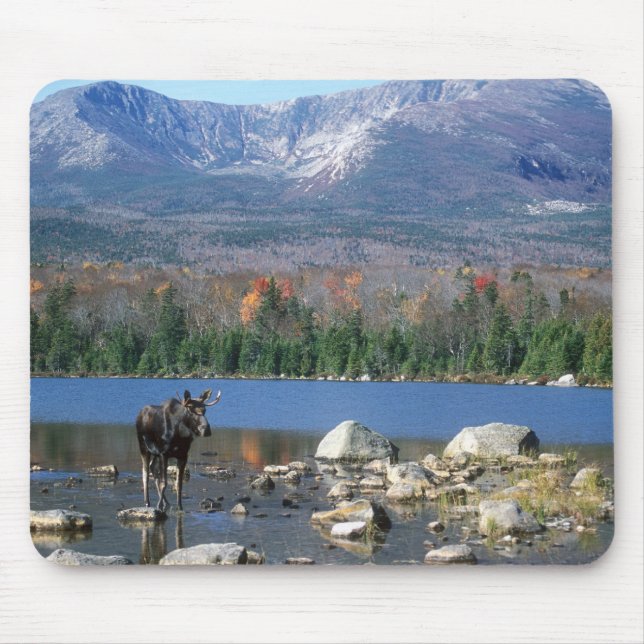 Moose Pad Mouse Pad (Front)