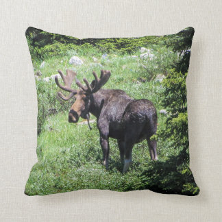 Moose Pillow