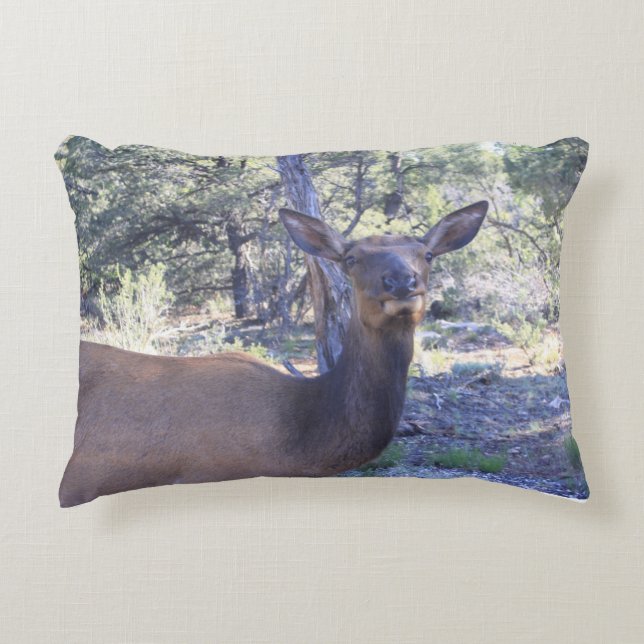 Moose Pillow (Front)