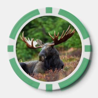 Moose Poker Chips