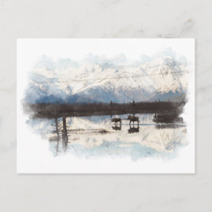 Moose Postcard