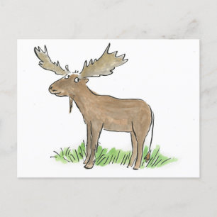 Moose Postcard