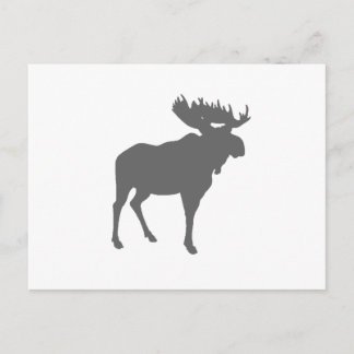 moose postcard