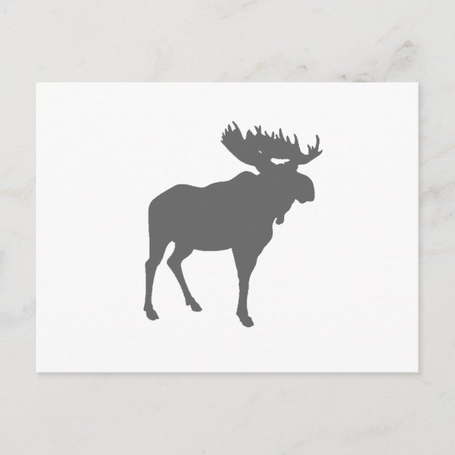 moose postcard (Front)