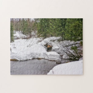 Moose Puzzle, 10x14 with 252 pieces Jigsaw Puzzle