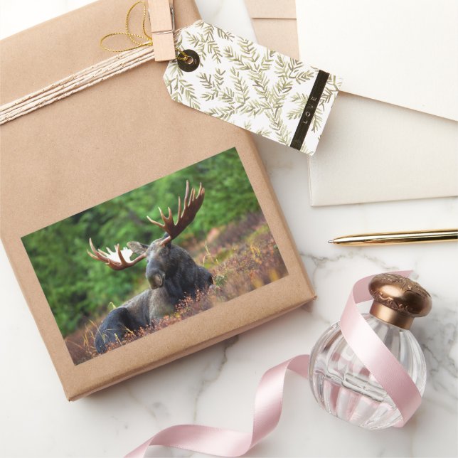 Moose Rectangular Sticker (Gifting)