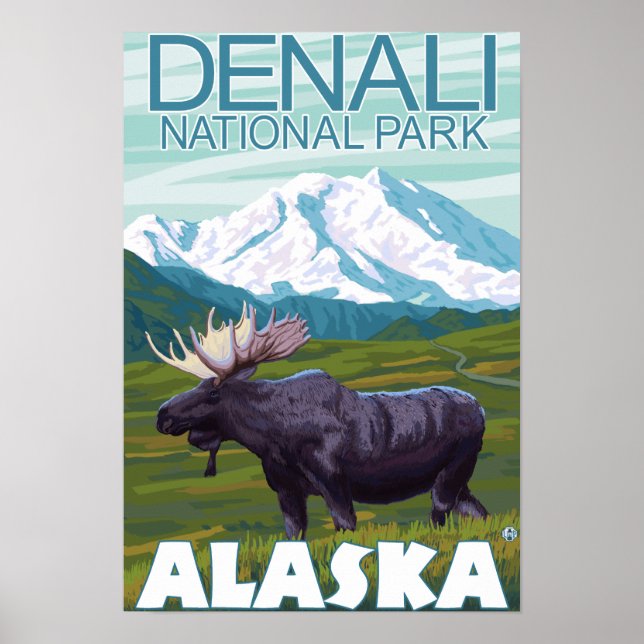 Moose Scene - Denali National Park, Alaska Poster (Front)