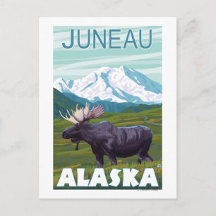 Moose Scene - Juneau, Alaska Postcard