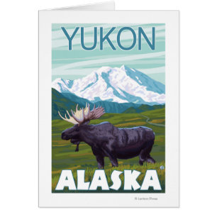 Moose Scene - Yukon, Alaska