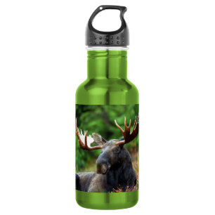 Moose Stainless Steel Water Bottle