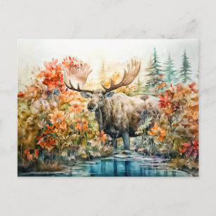 Moose standing in pond among plants holiday postcard