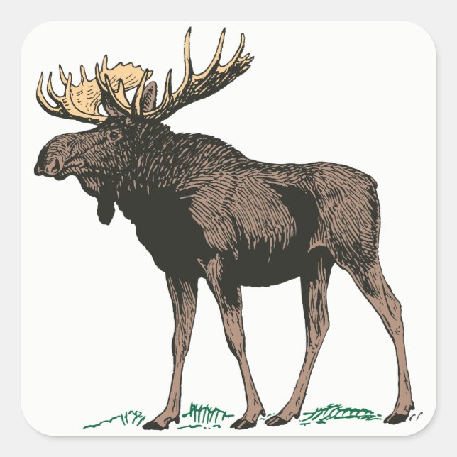 Moose Stickers (Front)